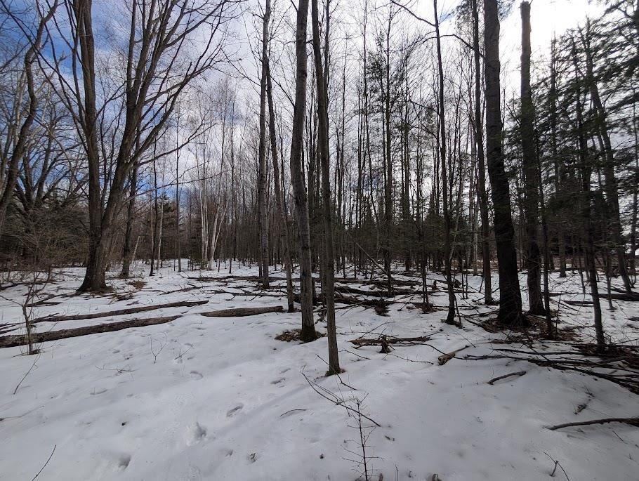 2370 Coville Road Mikado, MI 48745 - Photo 2 of 8