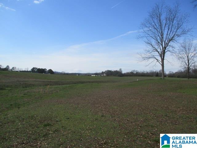 160 Highway Parcel Al, Unit 1 Cleveland, AL 35049 - Photo 5 of 10
