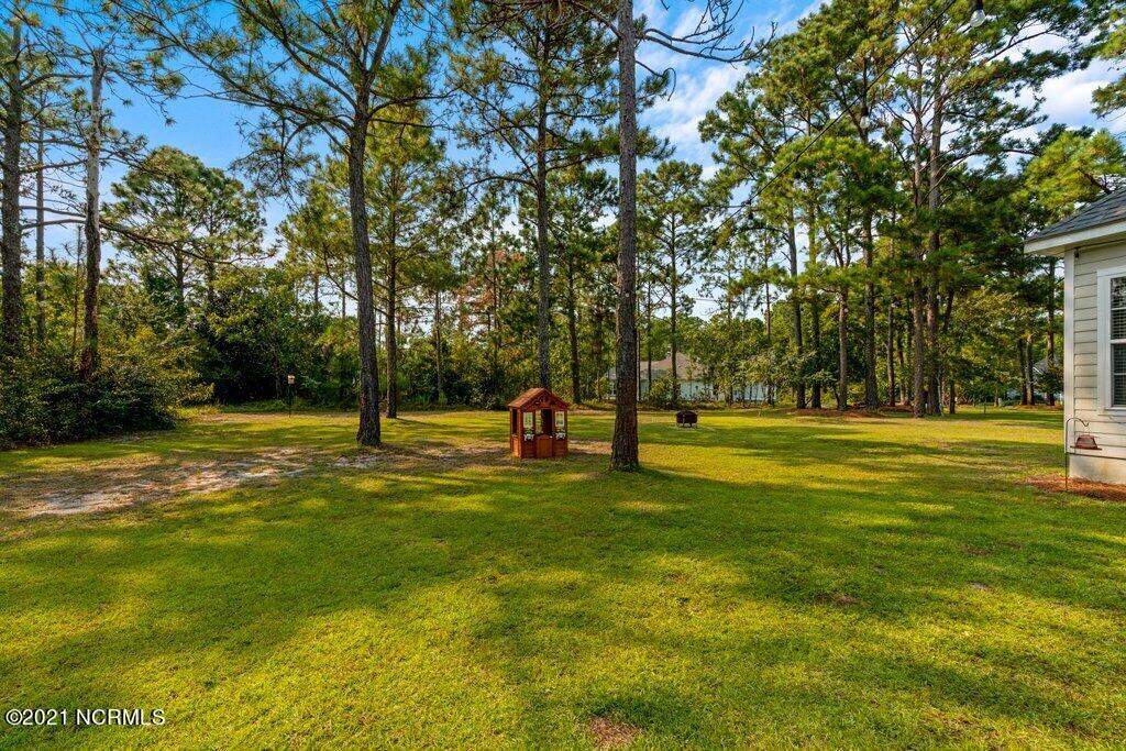 202 Whimbrel Way Hampstead, NC 28443 - Photo 40 of 48 DSC07583.jpg-SMALL