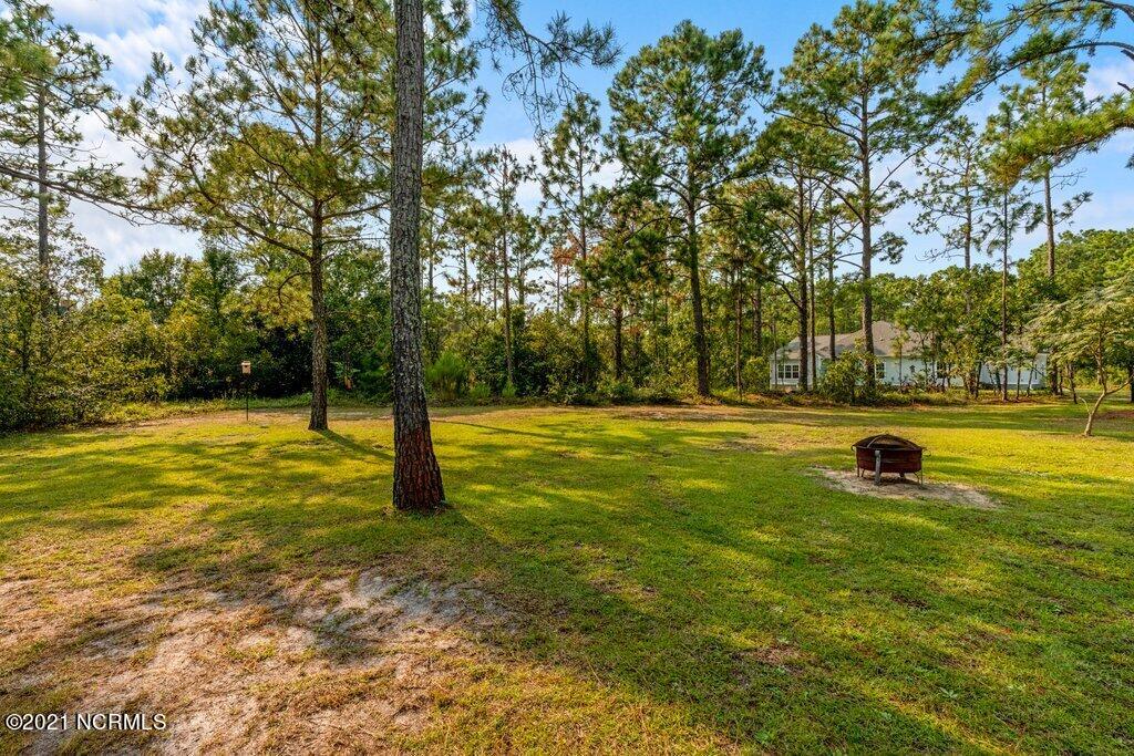 202 Whimbrel Way Hampstead, NC 28443 - Photo 41 of 48 DSC07586.jpg-SMALL