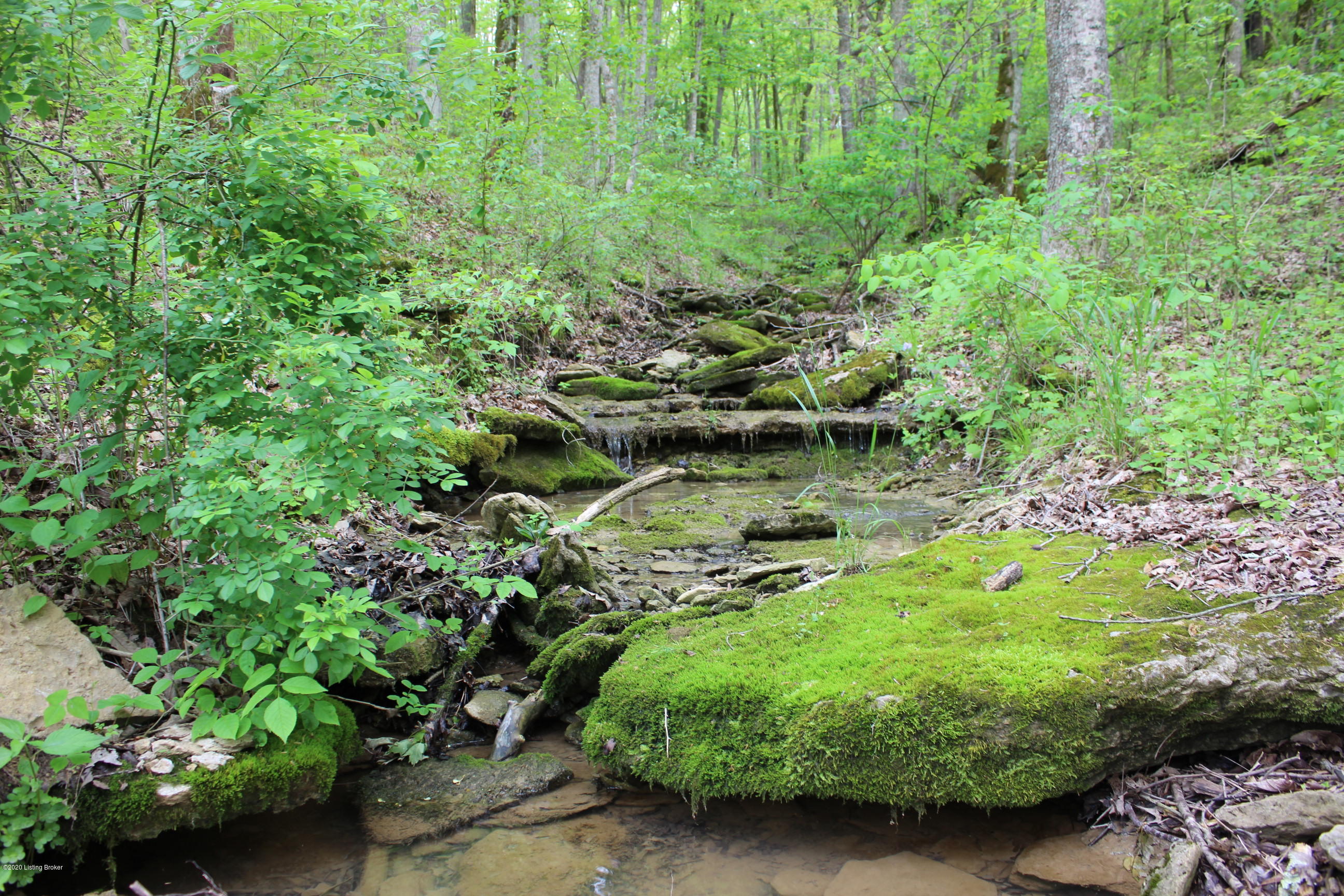 2801 Pattons Creek Road Pendleton, KY 40055 - Photo 66 of 79 IMG_0083