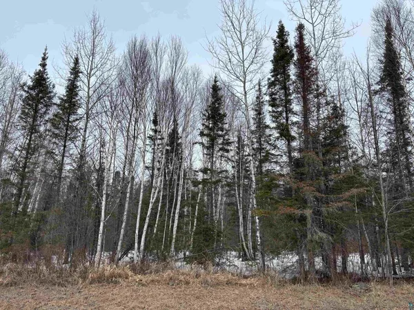 $74,900 | 13-xx Town Line Road, Brimson, MN 55602