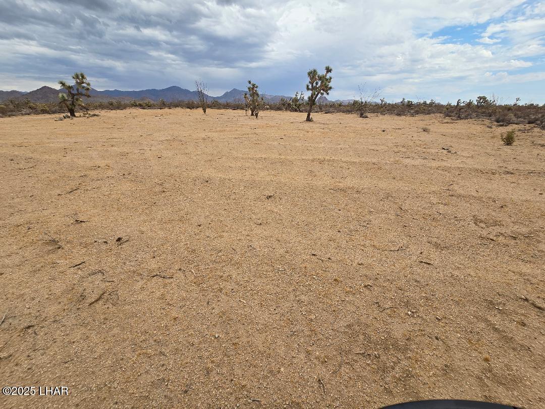 450 South Kit Carson Road Yucca, AZ 86438 - Photo 11 of 20 Perfect Area for RV or Home