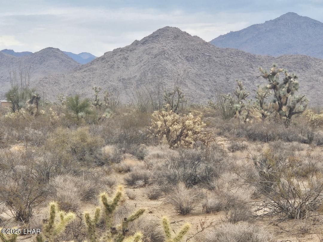 450 South Kit Carson Road Yucca, AZ 86438 - Photo 13 of 20 Mt View from Parcel