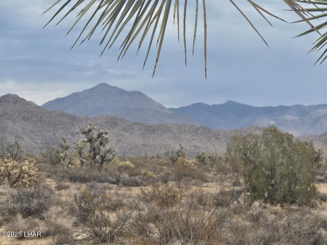 450 South Kit Carson Road Yucca, AZ 86438 - Photo 15 of 20 Pretty Mt View from Property