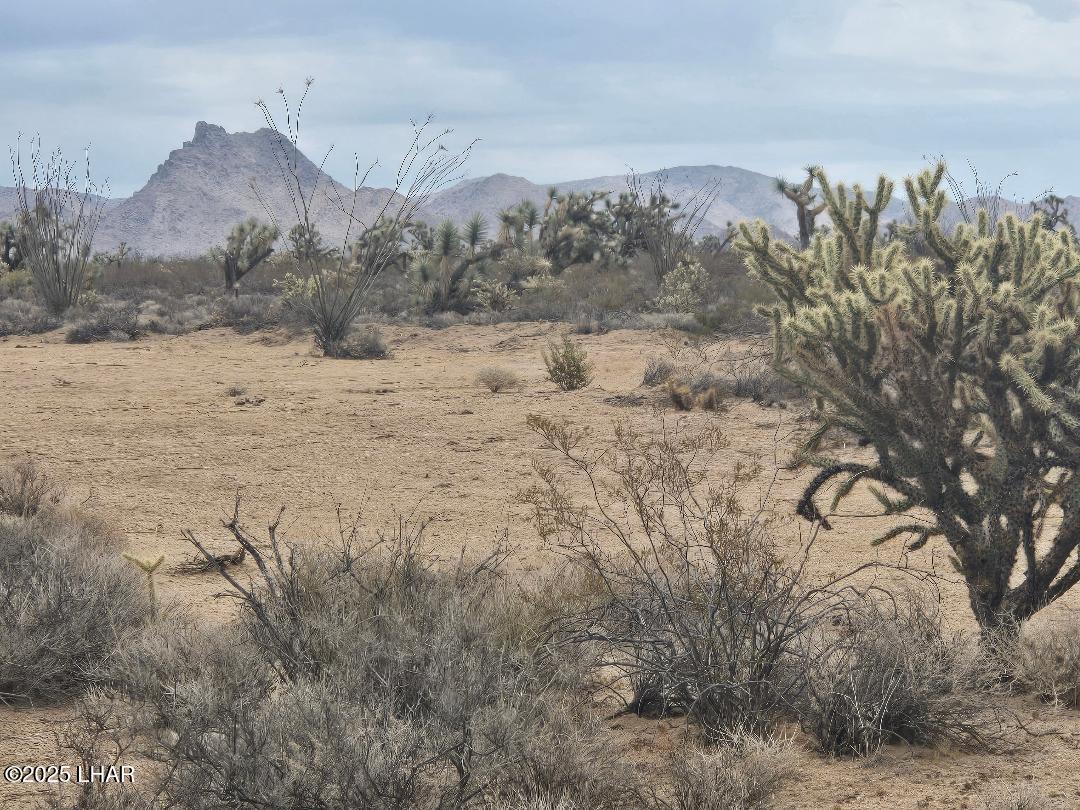 450 South Kit Carson Road Yucca, AZ 86438 - Photo 16 of 20 Adventure Awaits!