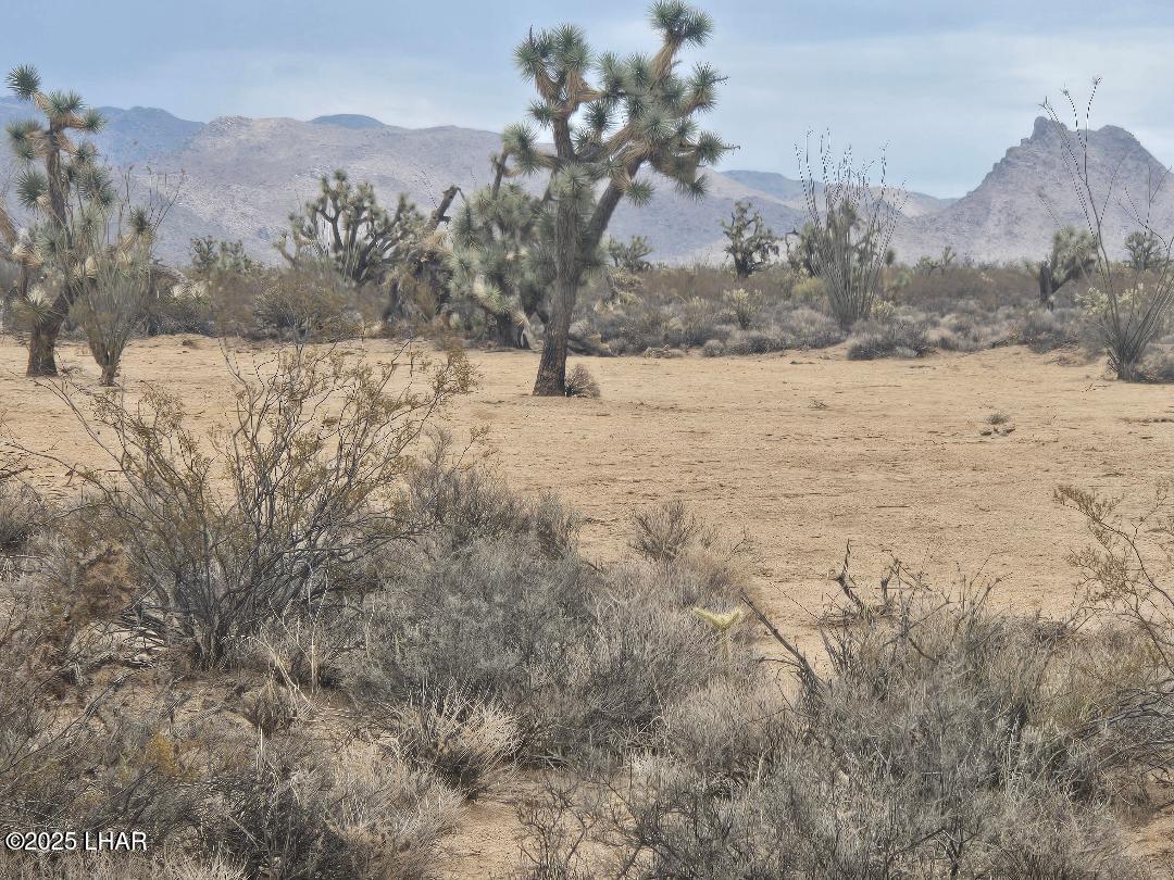 450 South Kit Carson Road Yucca, AZ 86438 - Photo 2 of 20 Panoramic Mt Views