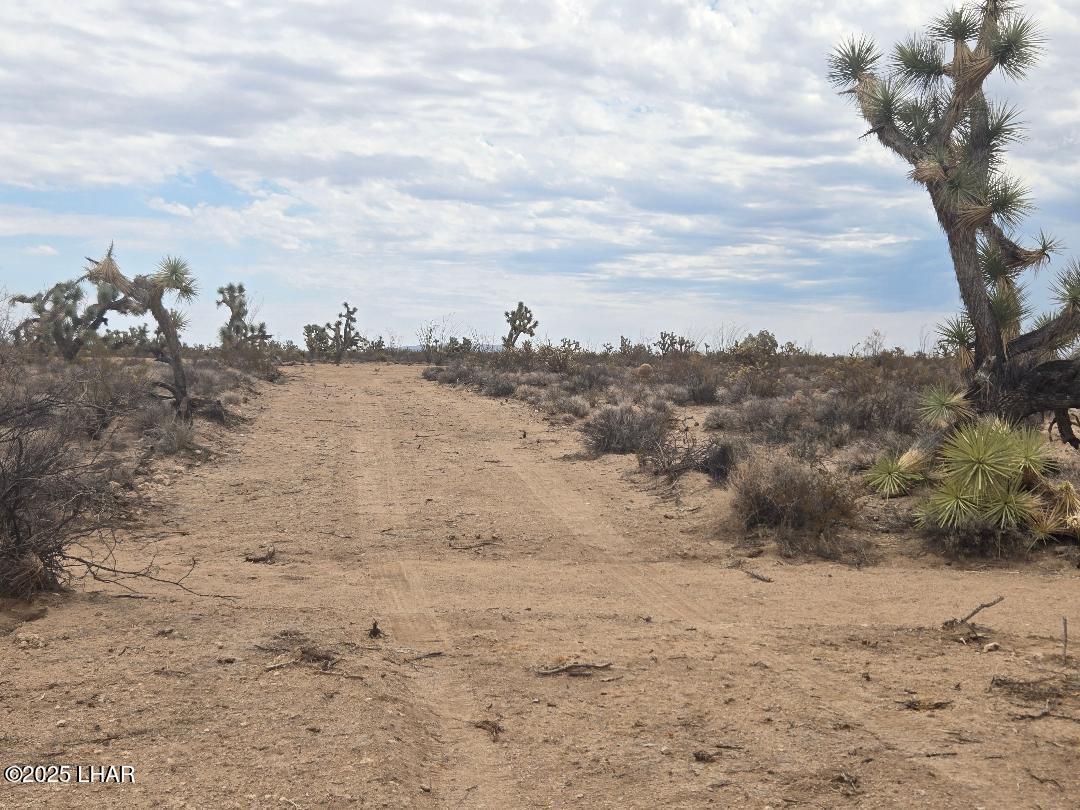450 South Kit Carson Road Yucca, AZ 86438 - Photo 5 of 20 Second Driveway