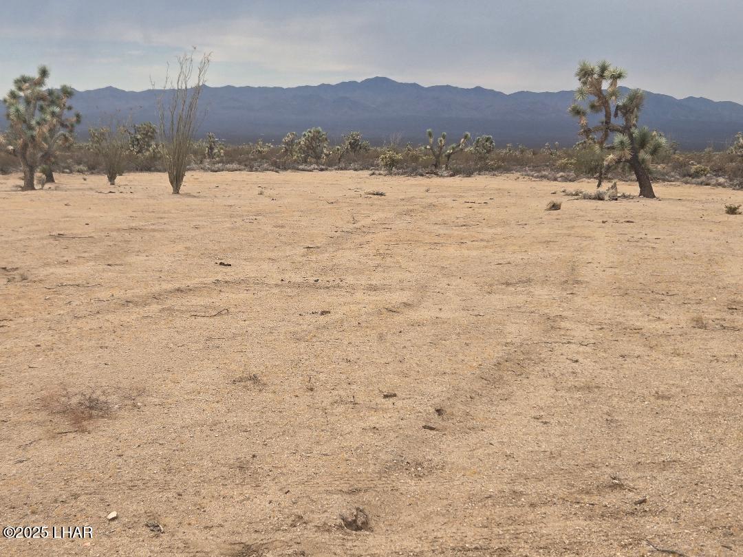 450 South Kit Carson Road Yucca, AZ 86438 - Photo 6 of 20 Cleared & Flat Area