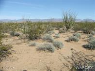 450 South Kit Carson Road Yucca, AZ 86438 - Photo 9 of 20 Another Mt View