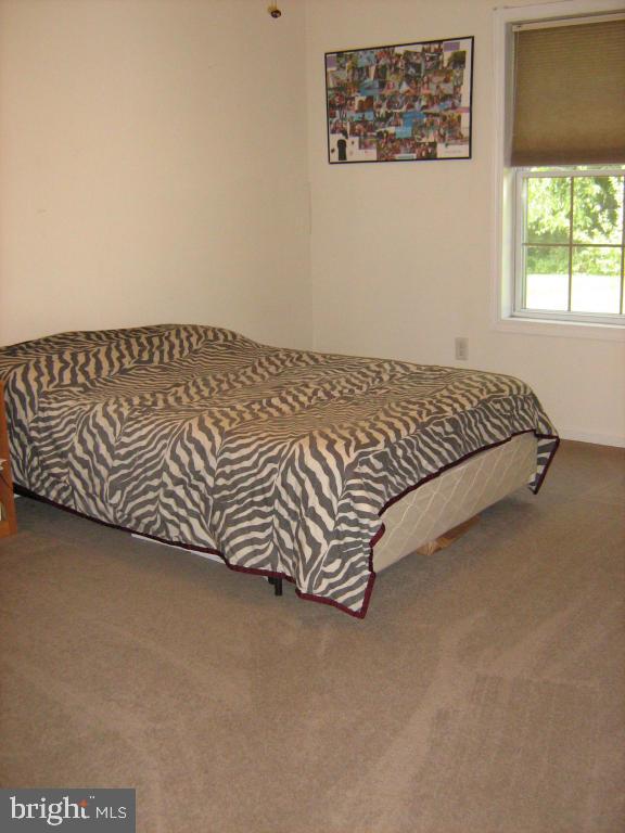 447 Rabbit Hill Lane Lancaster, PA 17603 - Photo 20 of 32 Gallery Image 20