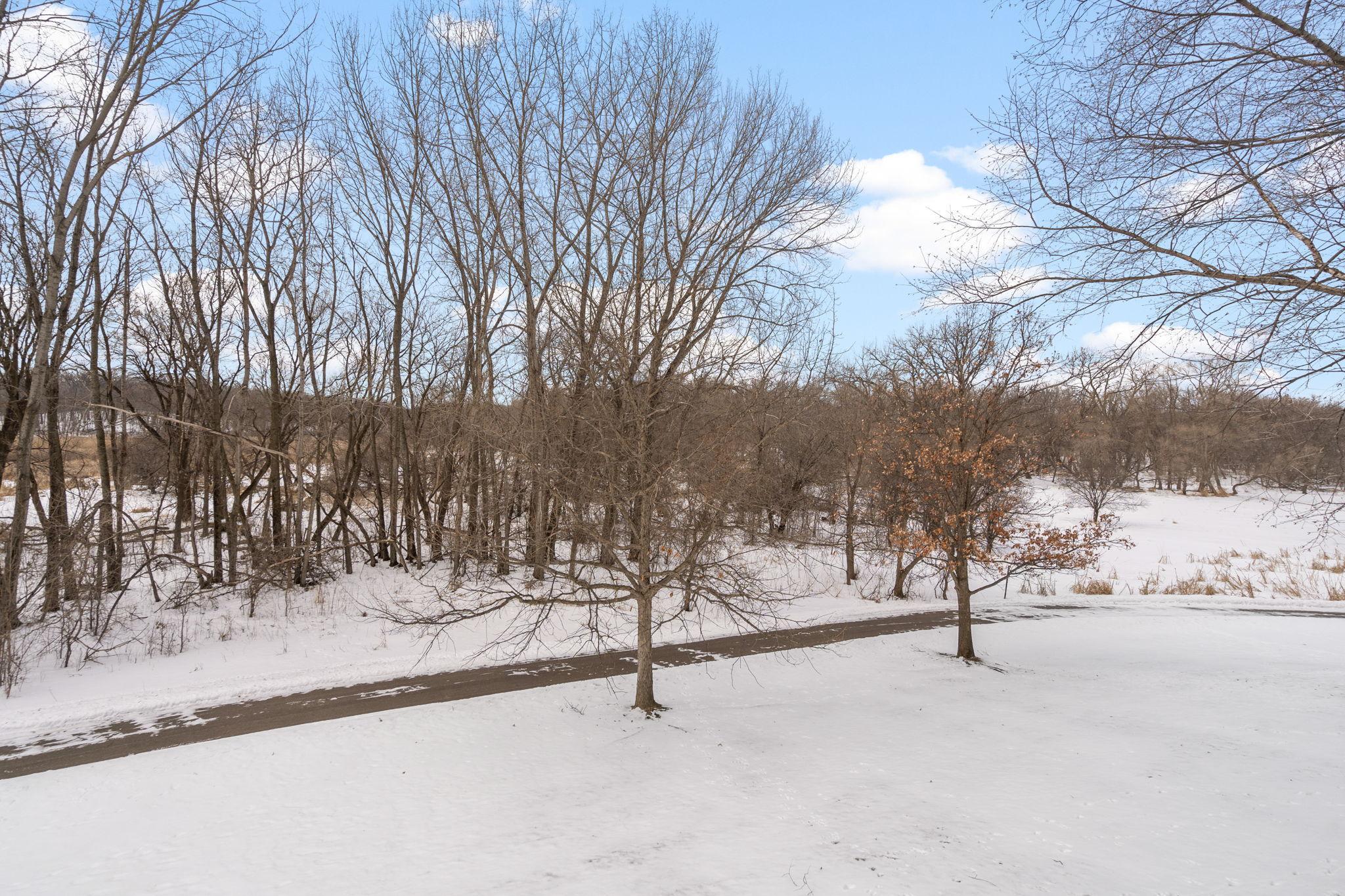 8042 Autumn Ridge Way Chanhassen, MN 55317 - Photo 3 of 28