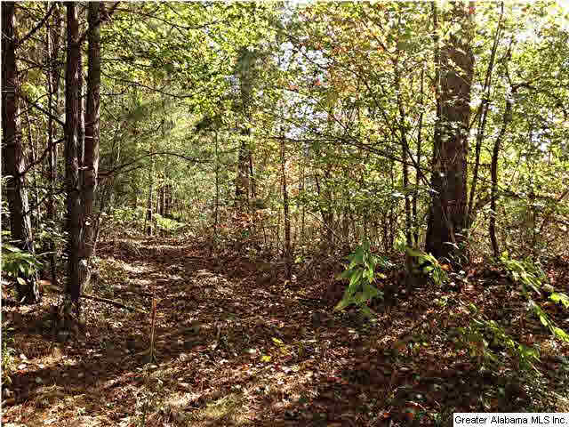 0 County Road 229, Unit 22 AC Fruithurst, AL 36262 - Photo 2 of 12