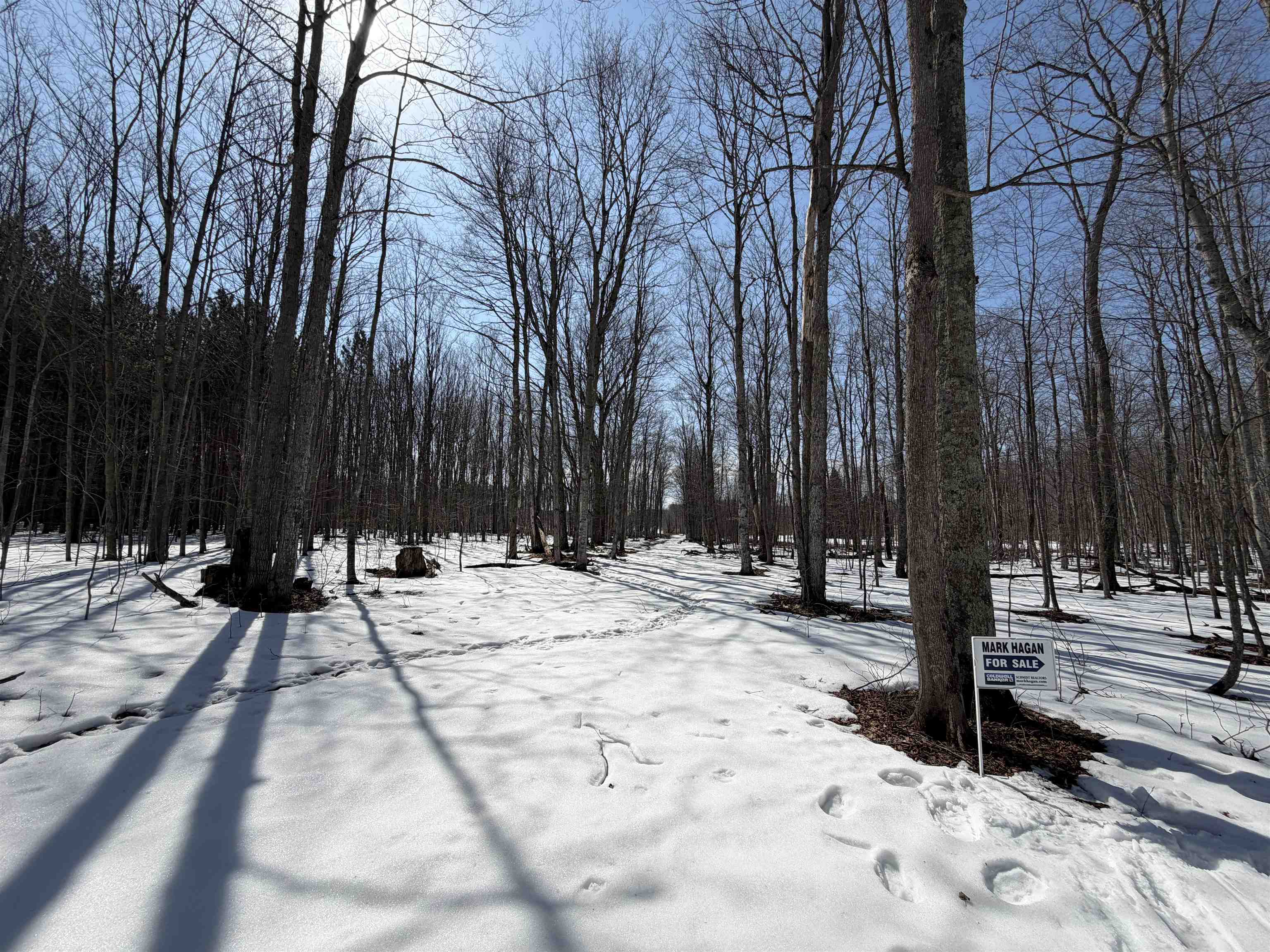 South Drew Road Empire, MI 49630 - Photo 26 of 28 Gallery Image 26