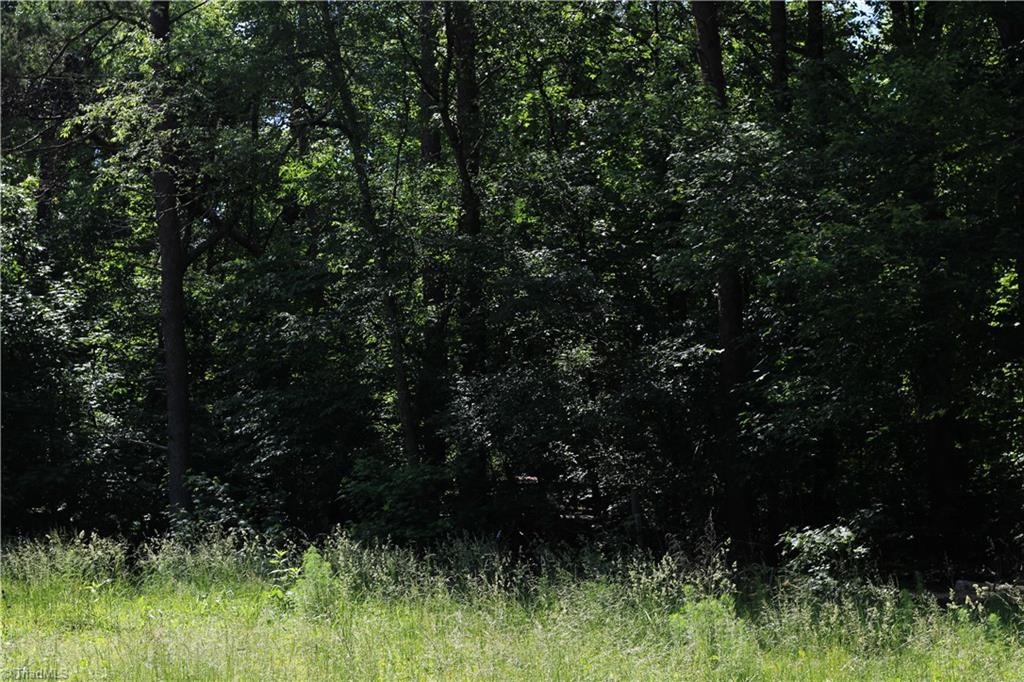 7220 East Fork Road High Point, NC 27265 - Photo 2 of 4 Woods at back of lot