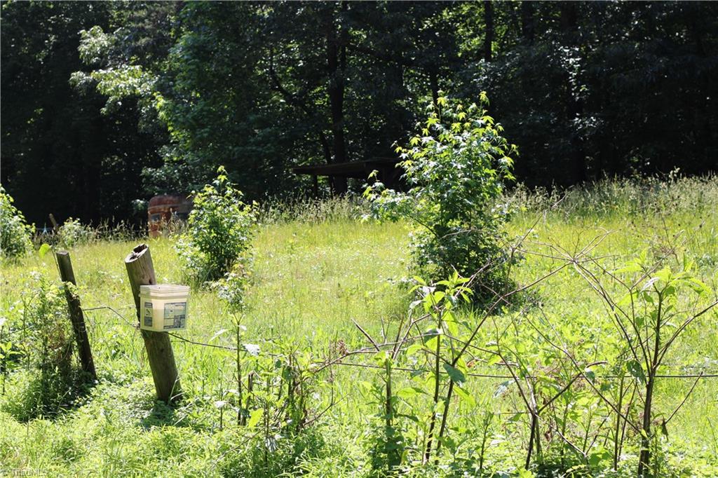 7220 East Fork Road High Point, NC 27265 - Photo 3 of 4 Front of lot near old barbed wire fence