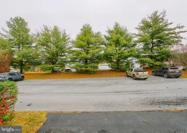 a view of a backyard with table and chairs potted plants and palm trees