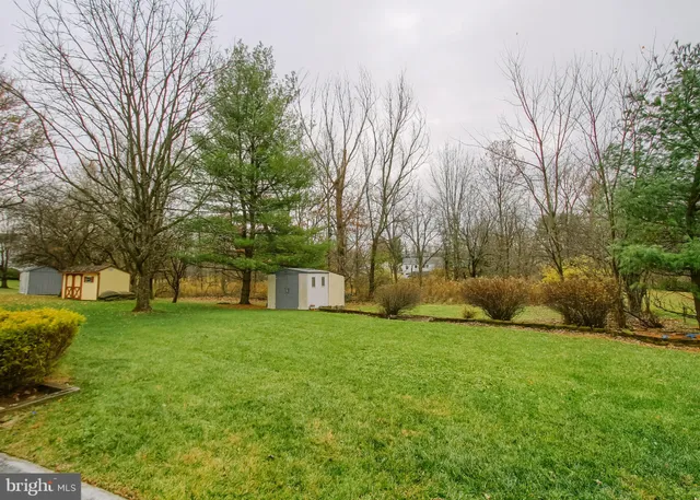 a view of a park with large trees