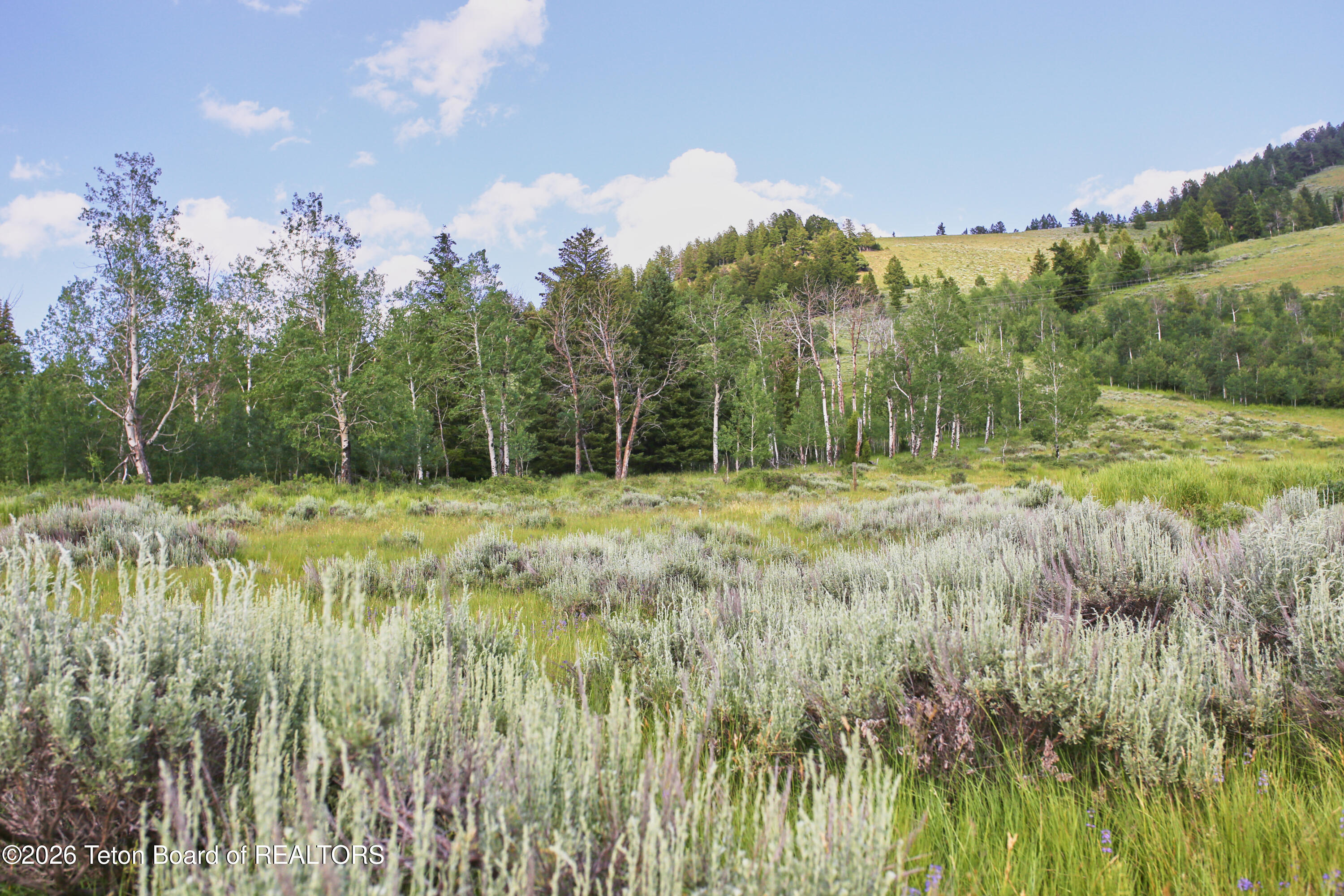 820 Elk Ridge Road Jackson, WY 83001 - Photo 5 of 22 Views Looking Uphill