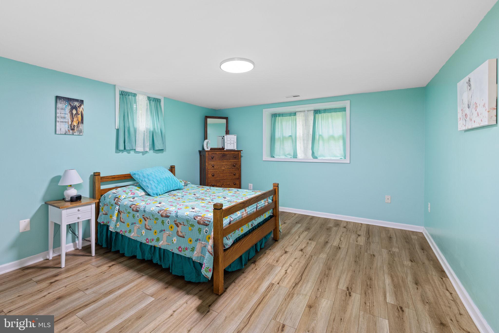 16492 Cox Mill Road Orange, VA 22960 - Photo 11 of 52 Bedroom - Lower level