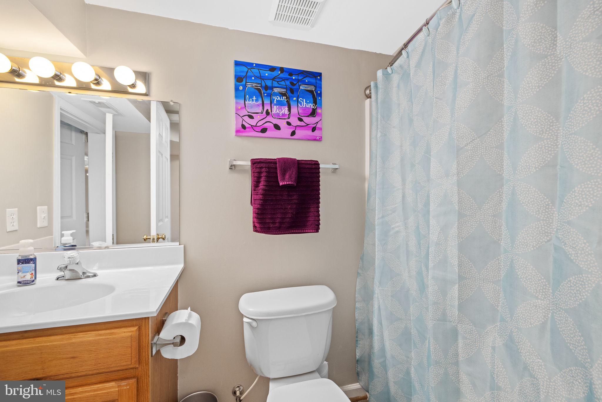 16492 Cox Mill Road Orange, VA 22960 - Photo 12 of 52 Bathroom - Lower level