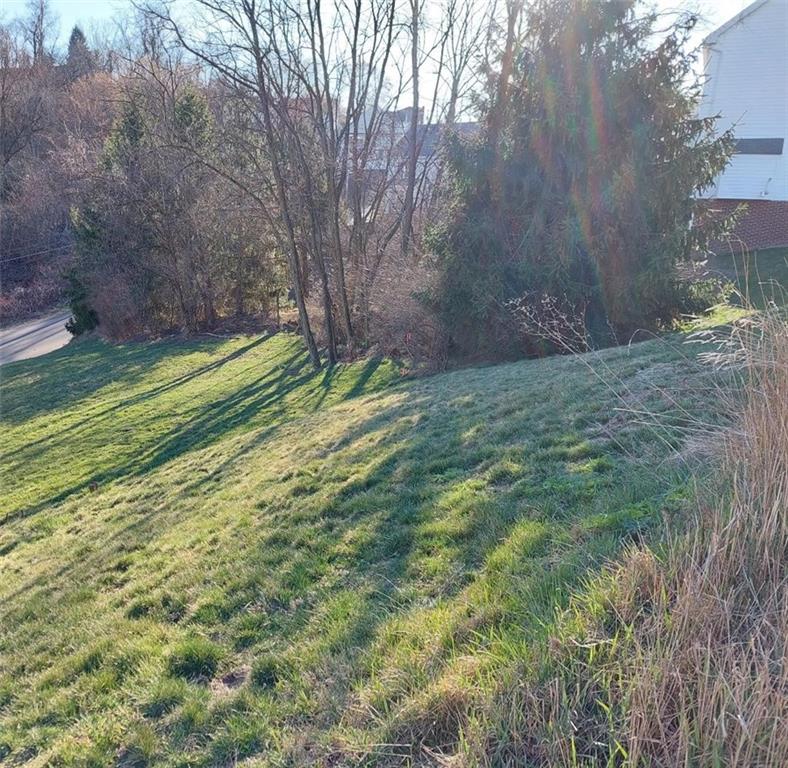 0 Oak Brook Circle Pittsburgh, PA 15220 - Photo 5 of 8 a backyard of a house with lots of green space and deers