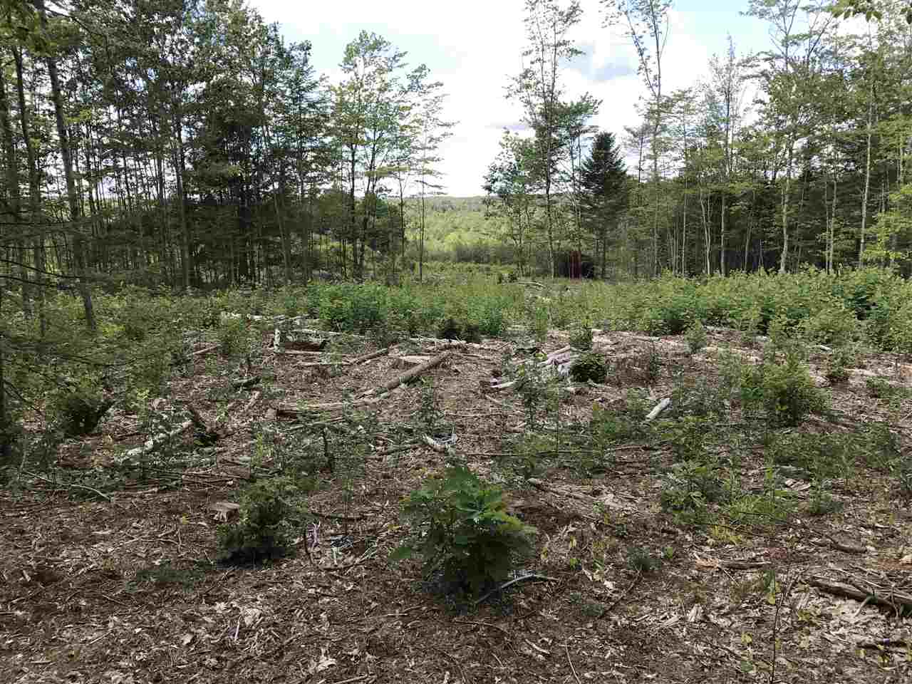 20-3 Province Road, Unit MAP 1 LOT 203 Barnstead, NH 03218 - Photo 2 of 3