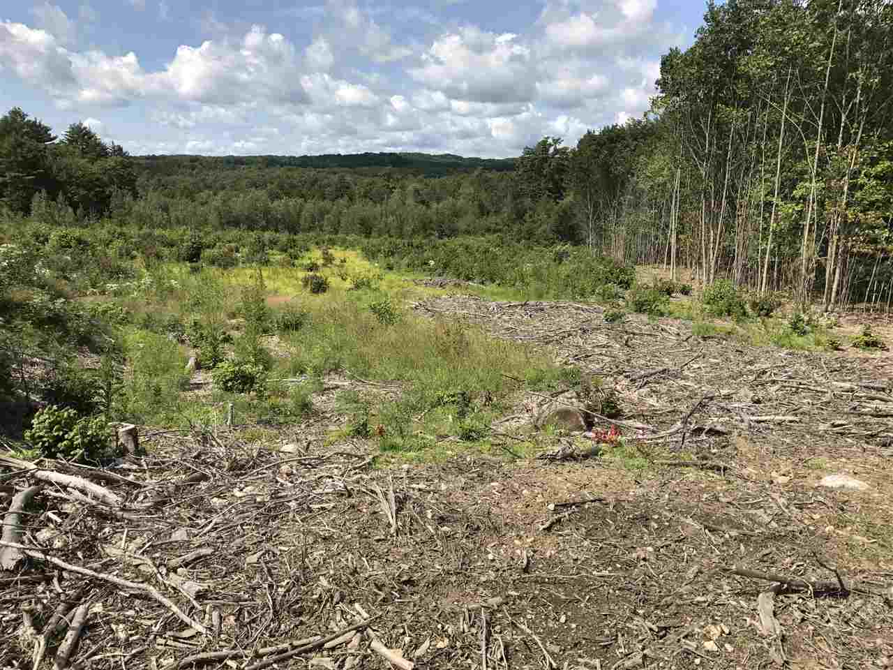 20-3 Province Road, Unit MAP 1 LOT 203 Barnstead, NH 03218 - Photo 3 of 3