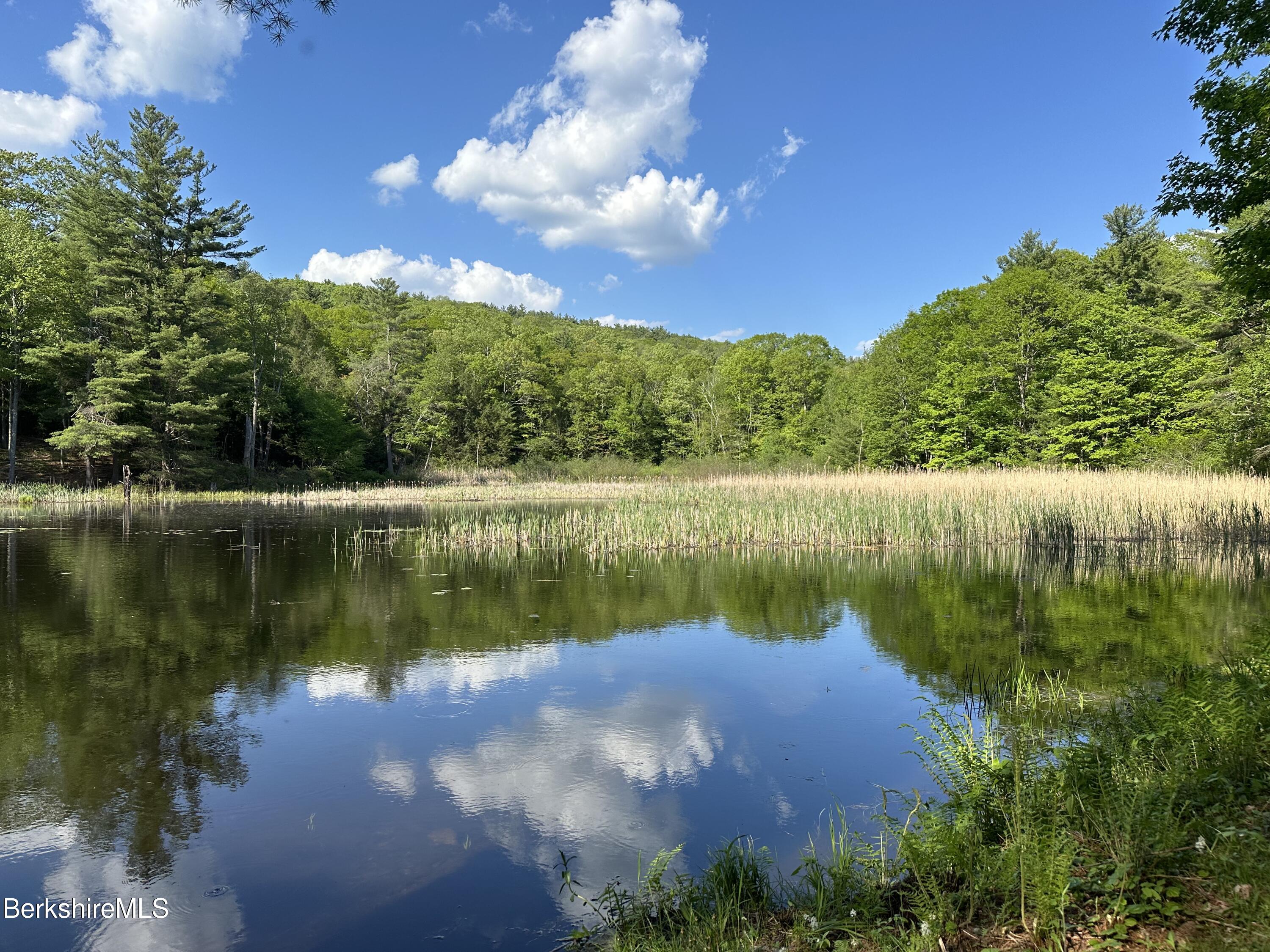 17 Cronk Road Monterey, MA 01245 - Photo 46 of 56 a view of a lake in between two of trees