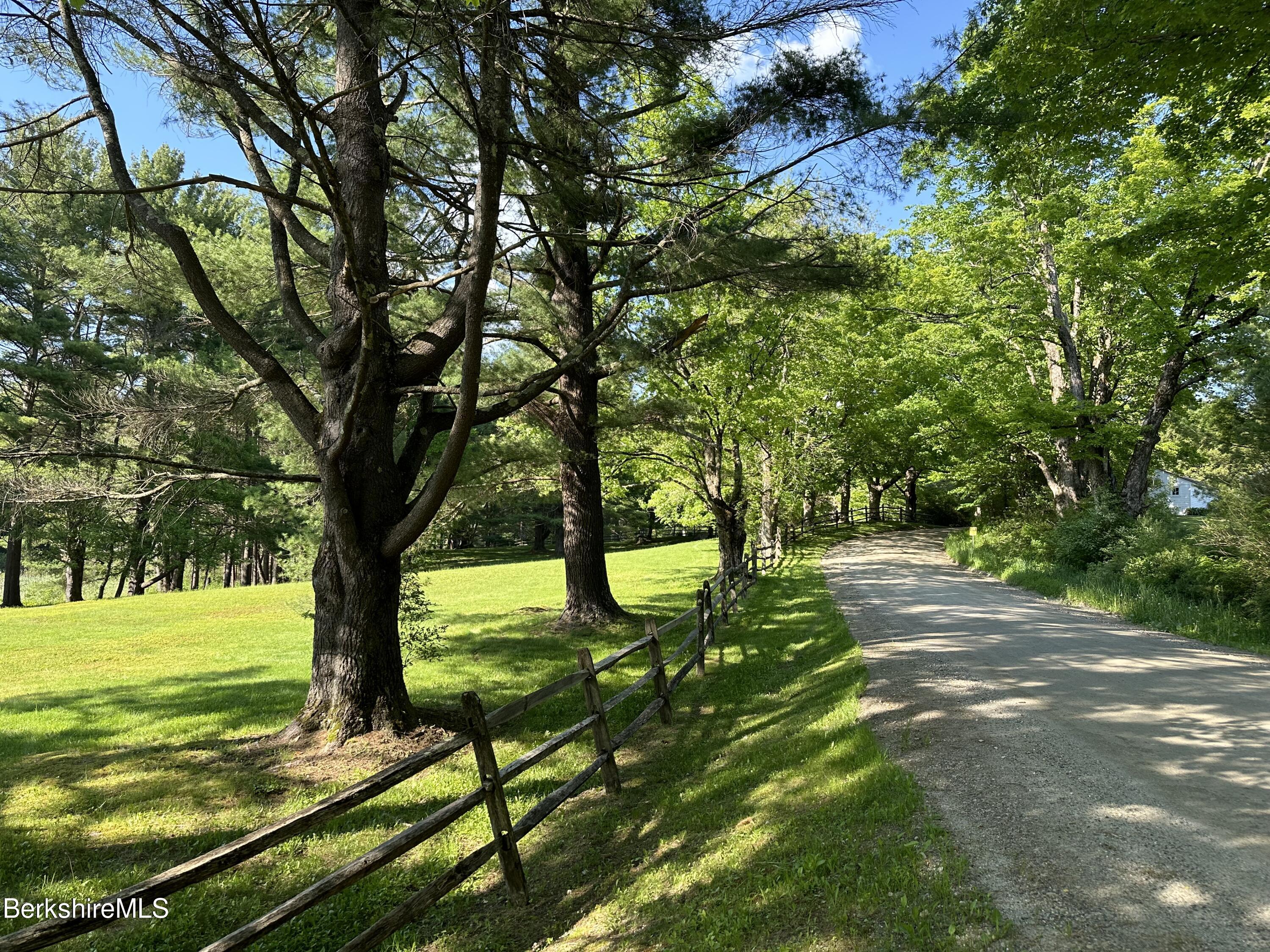 17 Cronk Road Monterey, MA 01245 - Photo 49 of 56 a view of a yard with a tree