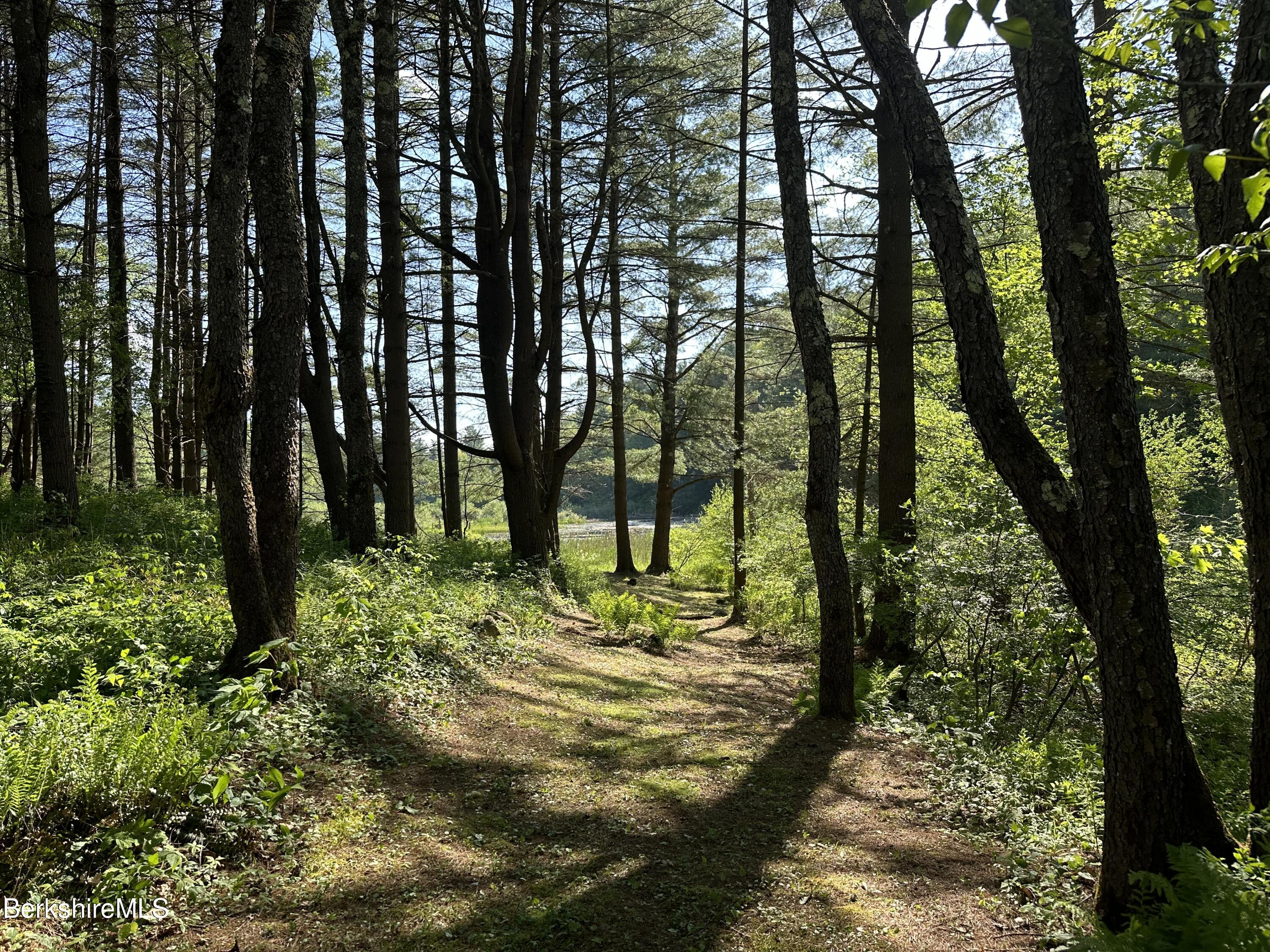 17 Cronk Road Monterey, MA 01245 - Photo 53 of 56 a view of outdoor space and a yard