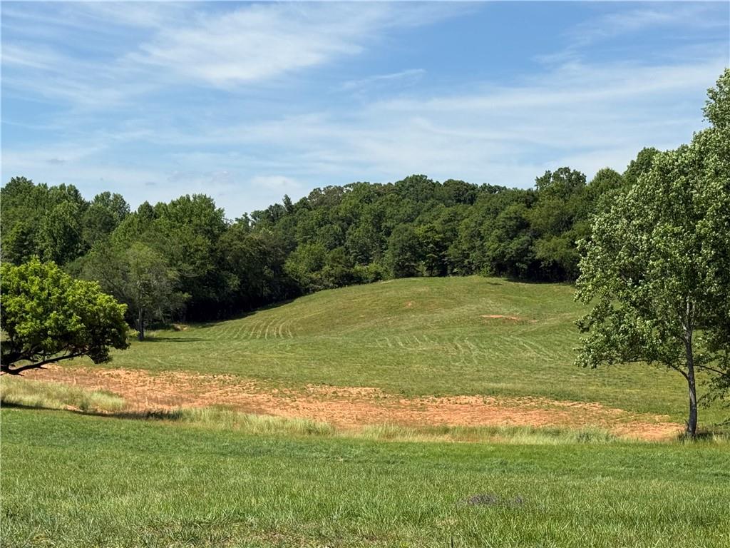 603 Wall Bridge Road Clarkesville, GA 30523 - Photo 1 of 21