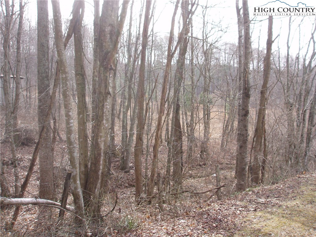 Delp Rd Roads Laurel Springs, NC 28644 - Photo 3 of 8 Gallery Image 3