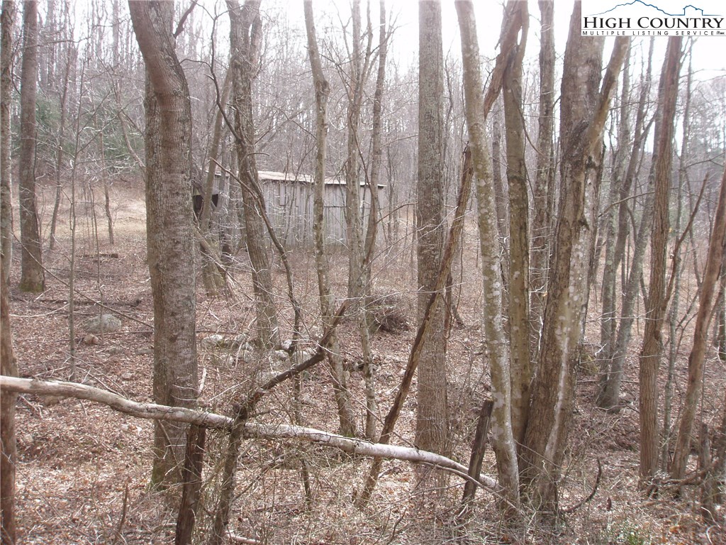Delp Rd Roads Laurel Springs, NC 28644 - Photo 4 of 8 Gallery Image 4