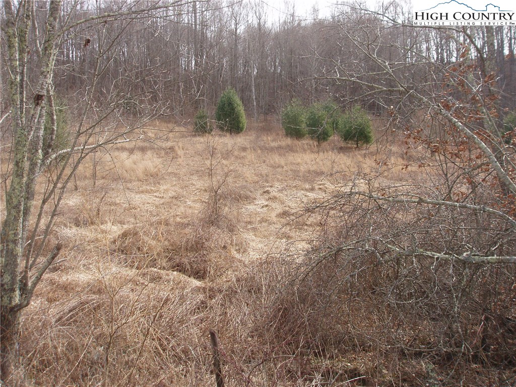 Delp Rd Roads Laurel Springs, NC 28644 - Photo 5 of 8 Gallery Image 5