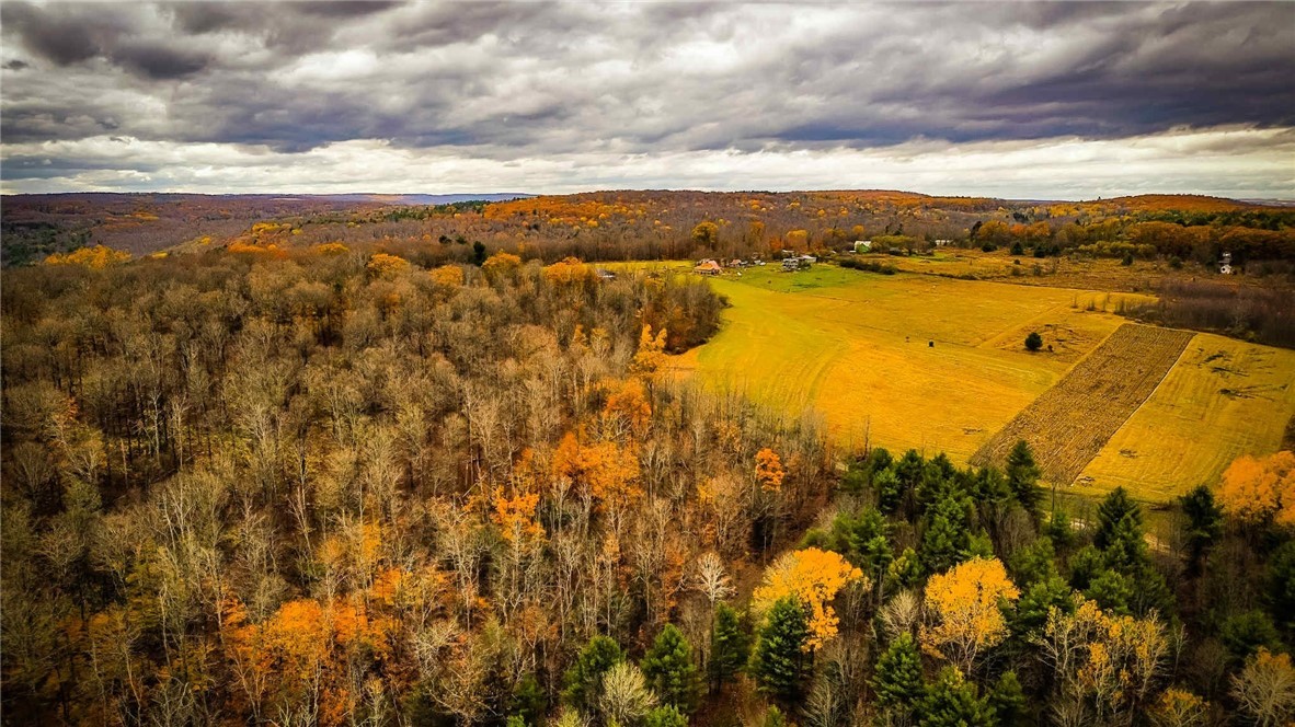 Dawes Hill Road Newfield, NY 14867 - Photo 12 of 30