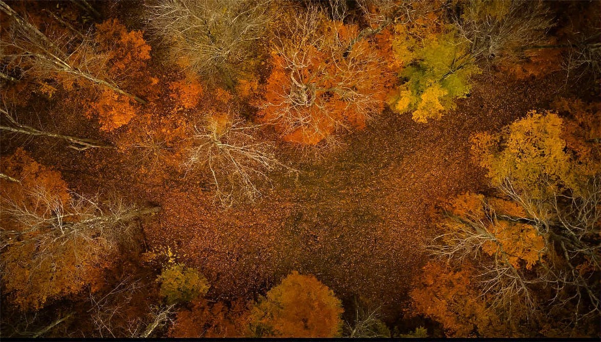 Dawes Hill Road Newfield, NY 14867 - Photo 17 of 30