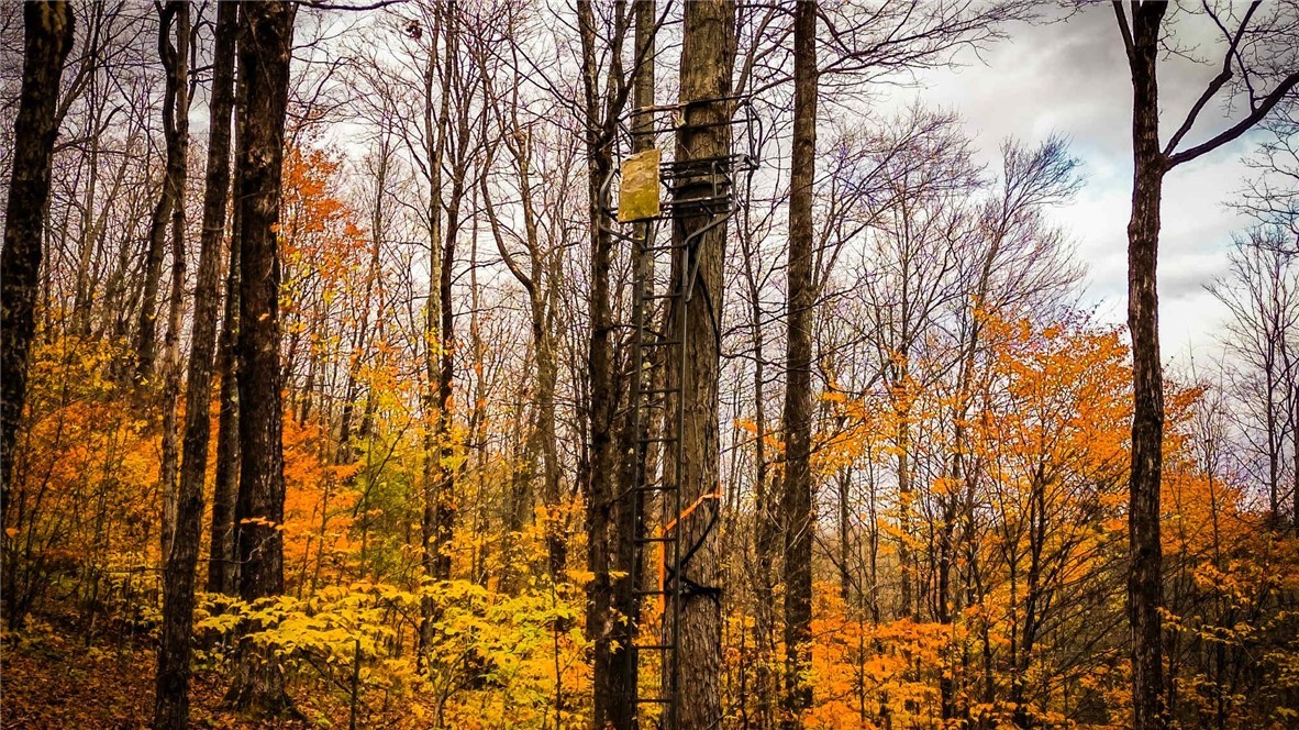 Dawes Hill Road Newfield, NY 14867 - Photo 18 of 30