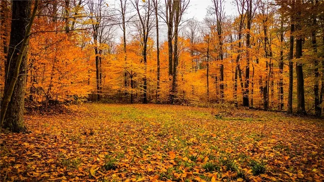 $379,900 | Dawes Hill Road, Newfield, NY 14867