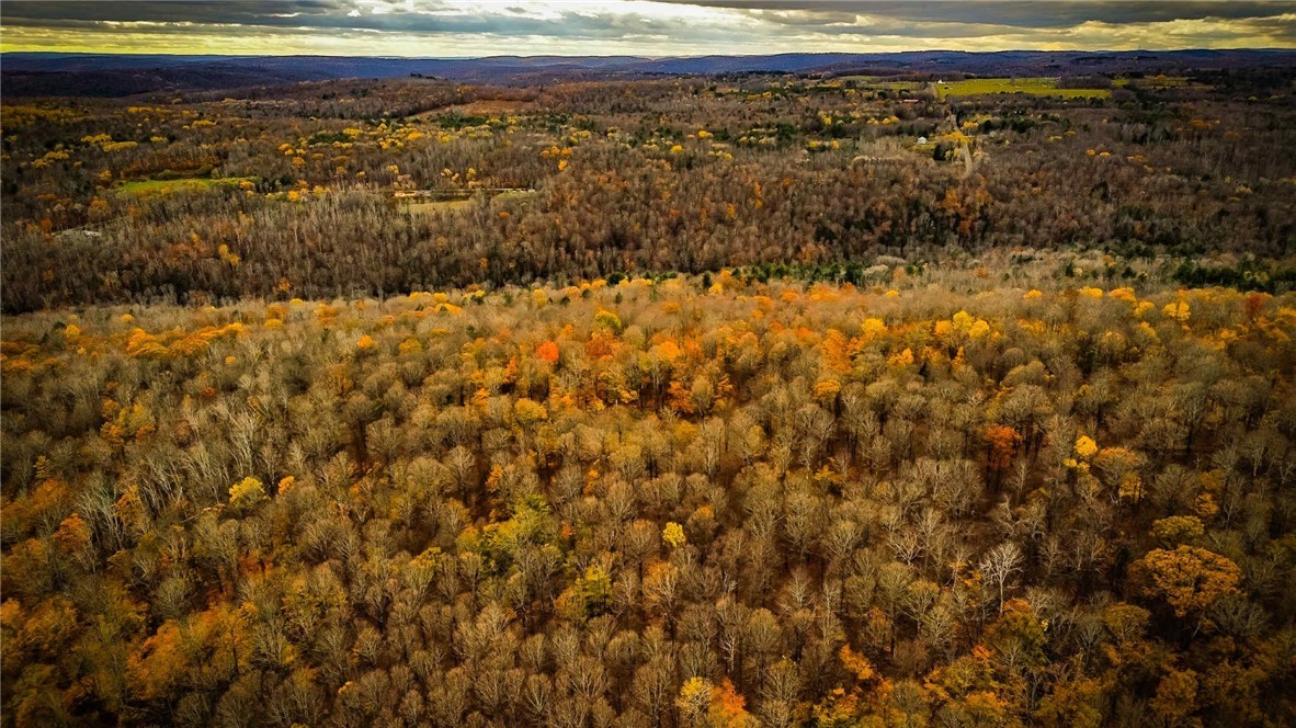 Dawes Hill Road Newfield, NY 14867 - Photo 20 of 30