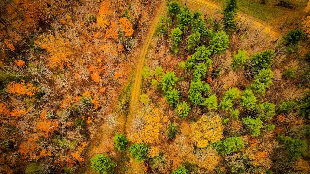 Dawes Hill Road Newfield, NY 14867 - Photo 22 of 30