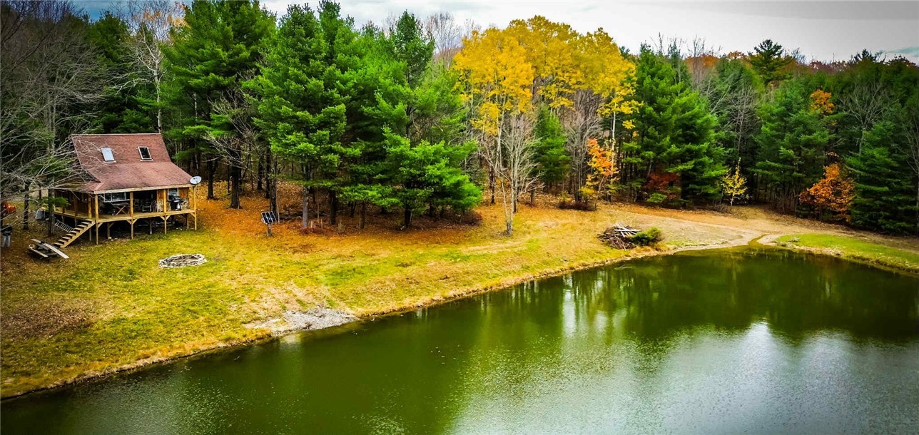 Dawes Hill Road Newfield, NY 14867 - Photo 23 of 30