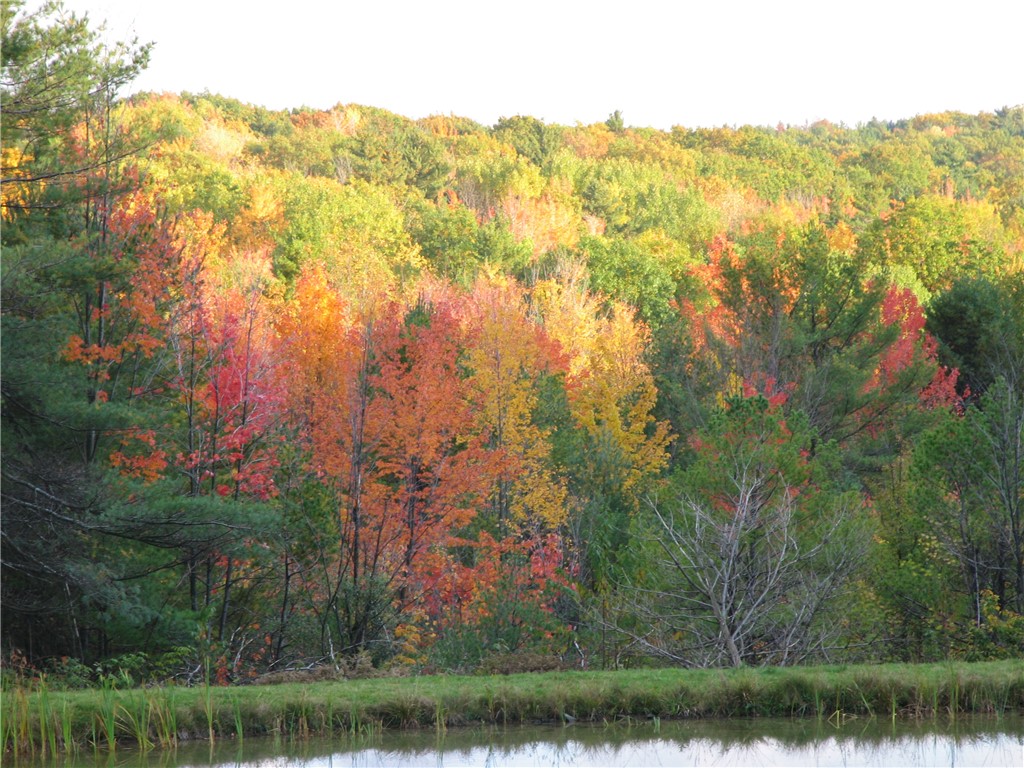 Dawes Hill Road Newfield, NY 14867 - Photo 24 of 30