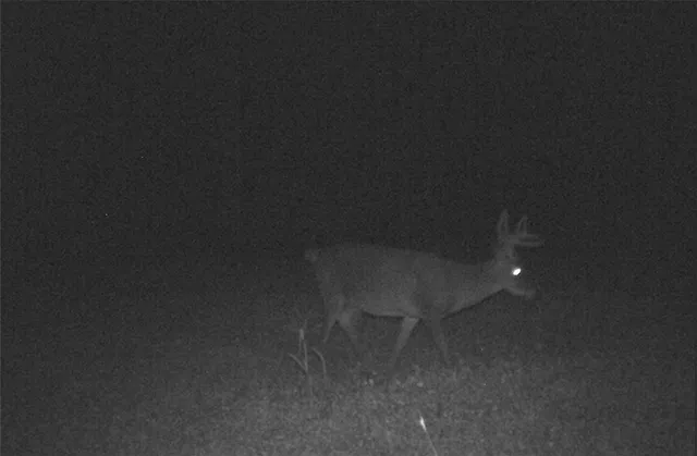 $379,900 | Dawes Hill Road, Newfield, NY 14867