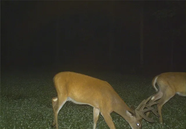 $379,900 | Dawes Hill Road, Newfield, NY 14867