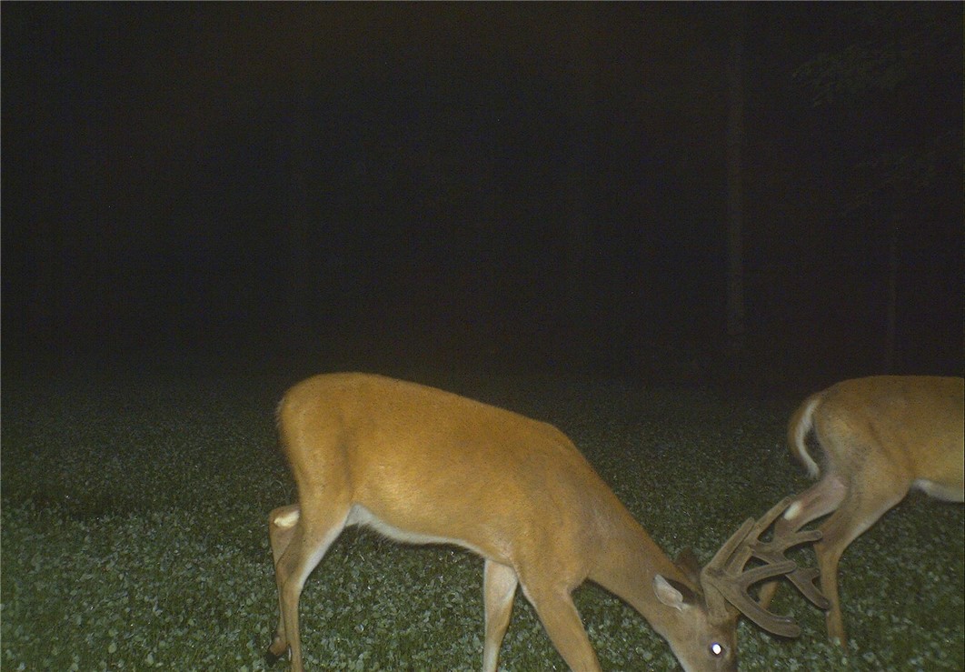 Dawes Hill Road Newfield, NY 14867 - Photo 26 of 30