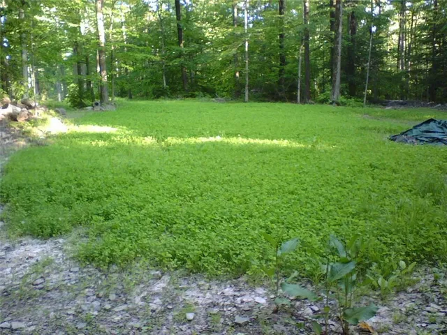 $379,900 | Dawes Hill Road, Newfield, NY 14867