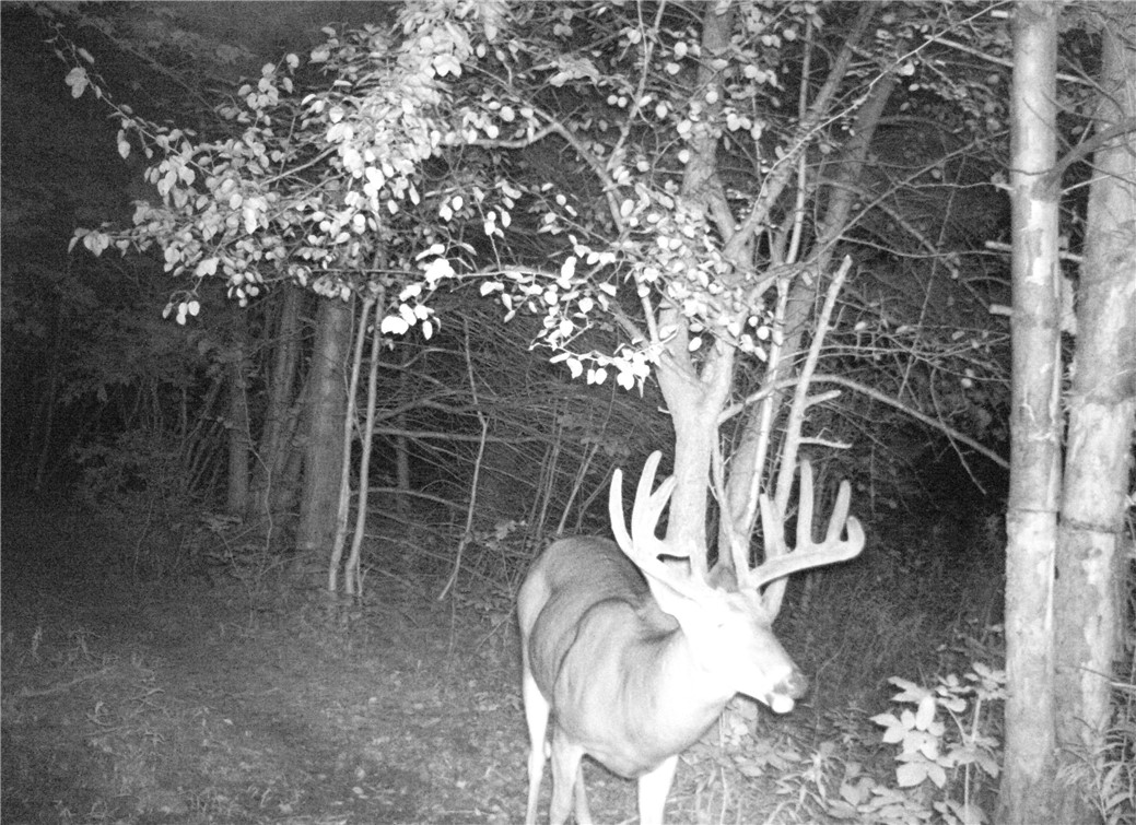 Dawes Hill Road Newfield, NY 14867 - Photo 28 of 30