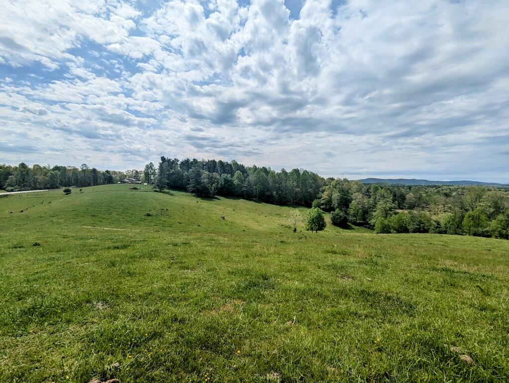 0 Alum Ridge Road Northwest Willis, VA 24380 - Photo 5 of 19 PXL_20250503_152553572~2