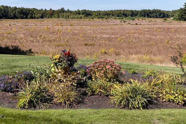 a view of lake with green space